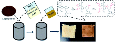 Graphical abstract: Preparation of rigid polyurethane foam from lignopolyol obtained through mild oxypropylation