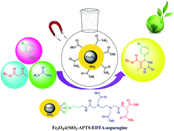 Graphical abstract: l-Asparagine–EDTA–amide silica-coated MNPs: a highly efficient and nano-ordered multifunctional core–shell organocatalyst for green synthesis of 3,4-dihydropyrimidin-2(1H)-one compounds