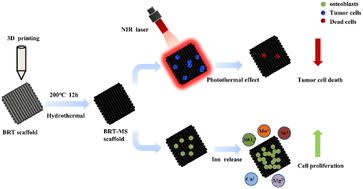 Graphical abstract: 3D-printed bioactive ceramic scaffolds with MoSe2 nanocrystals as photothermal agents for bone tumor therapy