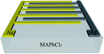 Graphical abstract: High performance of CH3NH3PbCl3 perovskite single crystal photodetector with a large active area using asymmetrical Schottky interdigital contacts
