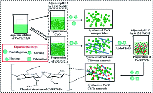 Graphical abstract: Novel Ta/chitosan-doped CuO nanorods for catalytic purification of industrial wastewater and antimicrobial applications