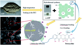 Graphical abstract: Adsorption performance of GO-doped activated ATP composites towards tetracycline