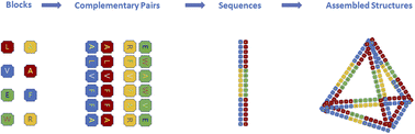 Graphical abstract: Creating de novo peptide-based bioactivities: from assembly to origami