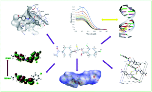 Graphical abstract: Structure and surface analyses of a newly synthesized acyl thiourea derivative along with its in silico and in vitro investigations for RNR, DNA binding, urease inhibition and radical scavenging activities