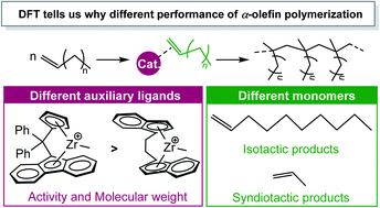 Graphical abstract: Ancillary ligand effects on α-olefin polymerization catalyzed by zirconium metallocene: a computational study