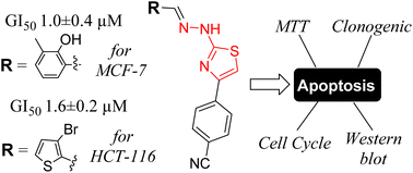 Graphical abstract: Design, and synthesis of selectively anticancer 4-cyanophenyl substituted thiazol-2-ylhydrazones