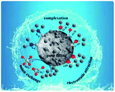 Graphical abstract: Multiple chemical modifications and Cd2+ adsorption characteristics of sludge-based activated carbon