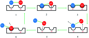 Graphical abstract: Design and synthesis of hybrid compounds as novel drugs and medicines