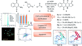 Graphical abstract: Synthesis and biological activity, and molecular modelling studies of potent cytotoxic podophyllotoxin-naphthoquinone compounds