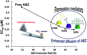 Graphical abstract: β-cyclodextrin dendritic derivatives as permeation mediators to enhance the in vitro albendazole cysticidal activity by the improvement of the diffusion component