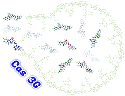 Graphical abstract: Casiopeinas® third generation, with indomethacin: synthesis, characterization, DFT studies, antiproliferative activity, and nanoencapsulation