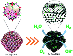 Graphical abstract: A doping-adsorption-pyrolysis strategy for constructing atomically dispersed cobalt sites anchored on a N-doped carbon framework as an efficient bifunctional electrocatalyst for hydrogen evolution and oxygen reduction