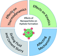 Graphical abstract: Research progress on the effects of nanoparticles on gas hydrate formation
