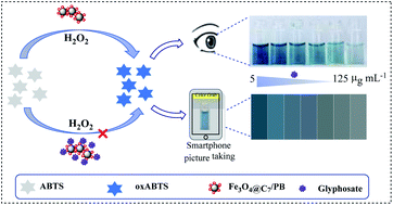 Graphical abstract: A portable smartphone-based detection of glyphosate based on inhibiting peroxidase-like activity of heptanoic acid/Prussian blue decorated Fe3O4 nanoparticles