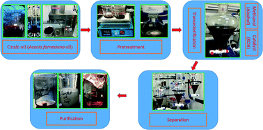 Graphical abstract: Non-edible plant seeds of Acacia farnesiana as a new and effective source for biofuel production