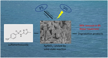 Graphical abstract: Degradation of sulfamethoxazole in water by AgNbO3 photocatalyst mediated by persulfate