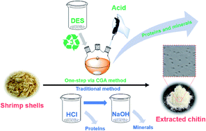 Graphical abstract: Facile production of chitin from shrimp shells using a deep eutectic solvent and acetic acid