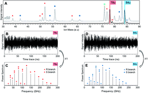 Graphical abstract: Structure of benzene from mass-correlated rotational Raman spectroscopy