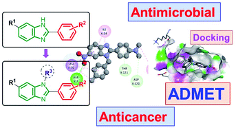 Graphical abstract: Design, synthesis, bio-evaluation, and in silico studies of some N-substituted 6-(chloro/nitro)-1H-benzimidazole derivatives as antimicrobial and anticancer agents