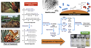 Graphical abstract: Catalytic deoxygenation of palm oil over metal phosphides supported on palm fiber waste derived activated biochar for producing green diesel fuel