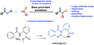 Graphical abstract: Base-promoted direct amidation of esters: beyond the current scope and practical applications