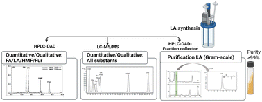 Graphical abstract: The potency of HPLC-DAD and LC-MS/MS combined with ion chromatography for detection/purification of levulinic acid and bio-compounds from acid hydrolysis of OPEFB