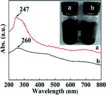 Graphical abstract: Effective dispersion of oxidized multi-walled carbon nanotubes using a water-soluble N,O-carboxymethyl chitosan via non-covalent interaction