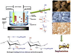 Graphical abstract: Electrophoretic deposition of hydroxyapatite/chitosan nanocomposites: the effect of dispersing agents on the coating properties