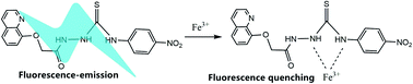 Graphical abstract: A novel quinoline derivative as a highly selective and sensitive fluorescent sensor for Fe3+ detection
