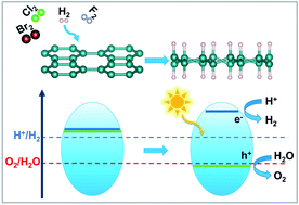 Graphical abstract: Effective regulation of the electronic properties of a biphenylene network by hydrogenation and halogenation