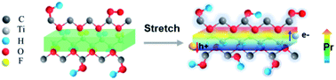 Graphical abstract: Piezoelectric built-in electric field advancing TiO2 for highly efficient photocatalytic air purification