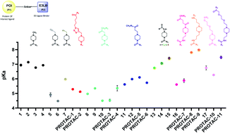 Graphical abstract: PROTACs bearing piperazine-containing linkers: what effect on their protonation state?