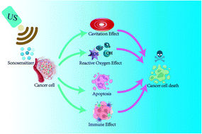 Graphical abstract: Application of nanosonosensitizer materials in cancer sono-dynamic therapy