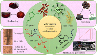 Graphical abstract: Vitrimers trigger covalent bonded bio-silica fused composite materials for recycling, reshaping, and self-healing applications