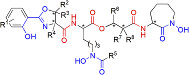 Graphical abstract: The diversity and utility of arylthiazoline and aryloxazoline siderophores: challenges of total synthesis