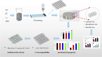 Graphical abstract: Improvement of mechanical and antibacterial properties of porous nHA scaffolds by fluorinated graphene oxide