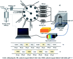 Graphical abstract: Dual determination of nitrite and iron by a single greener sequential injection spectrophotometric system employing a simple single aqueous extract from Areca catechu Linn. serving as a natural reagent