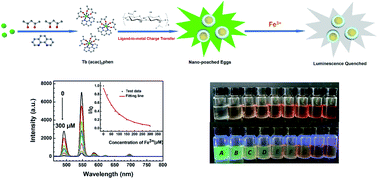 Graphical abstract: Nontoxic Tb3+-induced hyaluronic nano-poached egg aggregates for colorimetric and luminescent detection of Fe3+ ions
