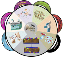 Graphical abstract: An overview of biomedical applications of choline geranate (CAGE): a major breakthrough in drug delivery