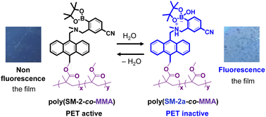 Graphical abstract: Fluorescent polymer films based on photo-induced electron transfer for visualizing water