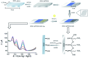 Graphical abstract: Simultaneous detection of acetaminophen, catechol and hydroquinone using a graphene-assisted electrochemical sensor