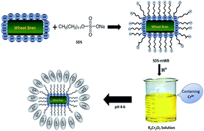 Graphical abstract: Removal of hexavalent chromium ions using micellar modified adsorbent: isothermal and kinetic investigations