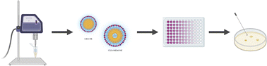 Graphical abstract: Development of nanoemulsions for the delivery of hydrophobic and hydrophilic compounds against carbapenem-resistant Klebsiella pneumoniae