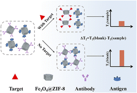 Graphical abstract: Magnetic relaxation switching assay based on three-dimensional assembly of Fe3O4@ZIF-8 for detection of cadmium ions