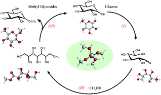 Graphical abstract: Fischer–Helferich glycosidation mechanism of glucose to methyl glycosides over Al-based catalysts in alcoholic media