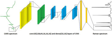 Graphical abstract: Effect of non-resonant background on the extraction of Raman signals from CARS spectra using deep neural networks