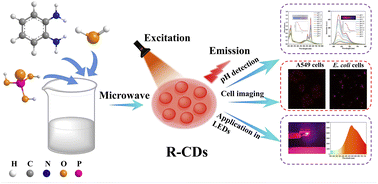 Graphical abstract: One-step microwave synthesis of red-emissive carbon dots for cell imaging in extreme acidity and light emitting diodes