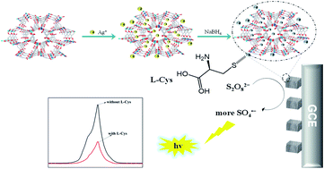 Graphical abstract: Enhancing K2S2O8 electrochemiluminescence based on silver nanoparticles and zinc metal–organic framework composite (AgNPs@ZnMOF) for the determination of l-cysteine