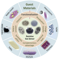 Graphical abstract: Advances in functional guest materials for resistive gas sensors