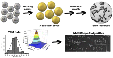 Graphical abstract: MultiShapeC, an algorithm to assess concentration in multi-shape nanoparticle samples: nanosilver, a case study